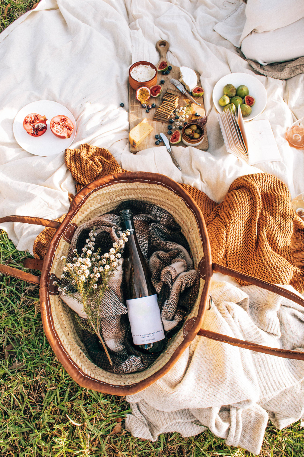 Snacks and Wine in a Picnic